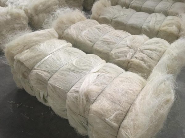 Sisal Fiber Grade 3L - Image 5