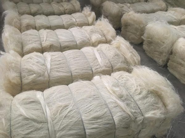 Sisal Fiber Grade 3L - Image 4