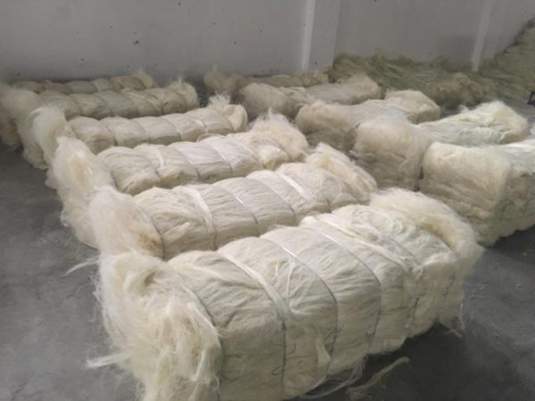 Sisal Fiber Grade 3L - Image 2