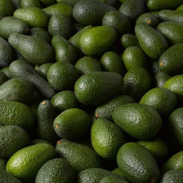 Hass Avocados - Image 4