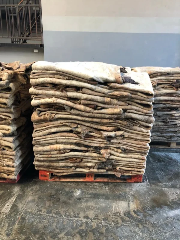 Cow Hides/skin - Image 4