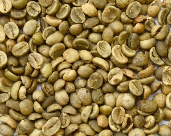 Robusta Coffee - Image 4