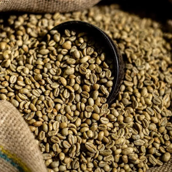 Arabica Coffee