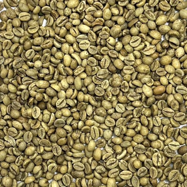 Robusta Coffee - Image 2