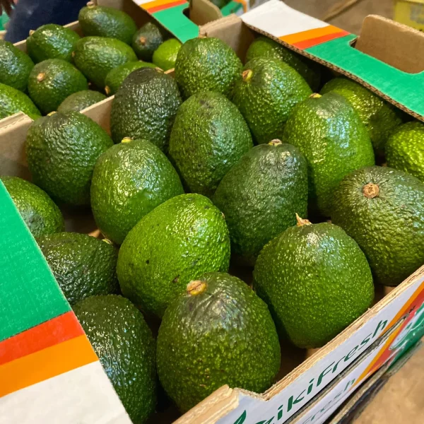 Hass Avocados - Image 3