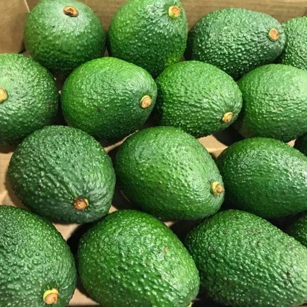Hass Avocados