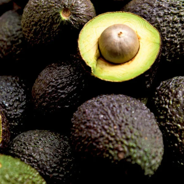 Fuerte Avocados - Image 2
